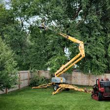 Landscape Design and Installation in Rockwell City, IA