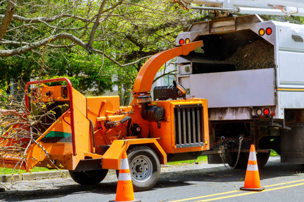 Best Utility Line Clearance  in Rockwell City, IA